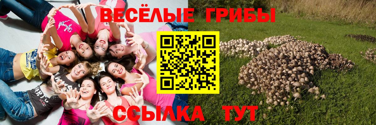 Галлюциногенные грибы Psilocybine cubensis  Вход с VPN  Качканар 